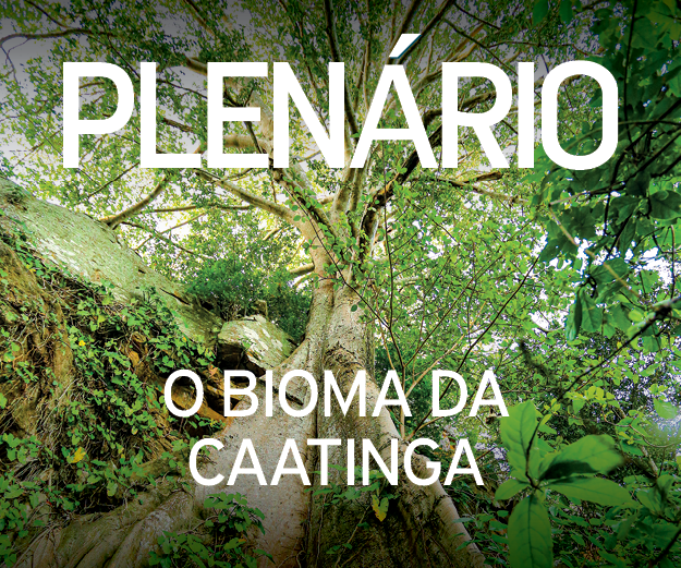 Revista Plenário - Edição 63