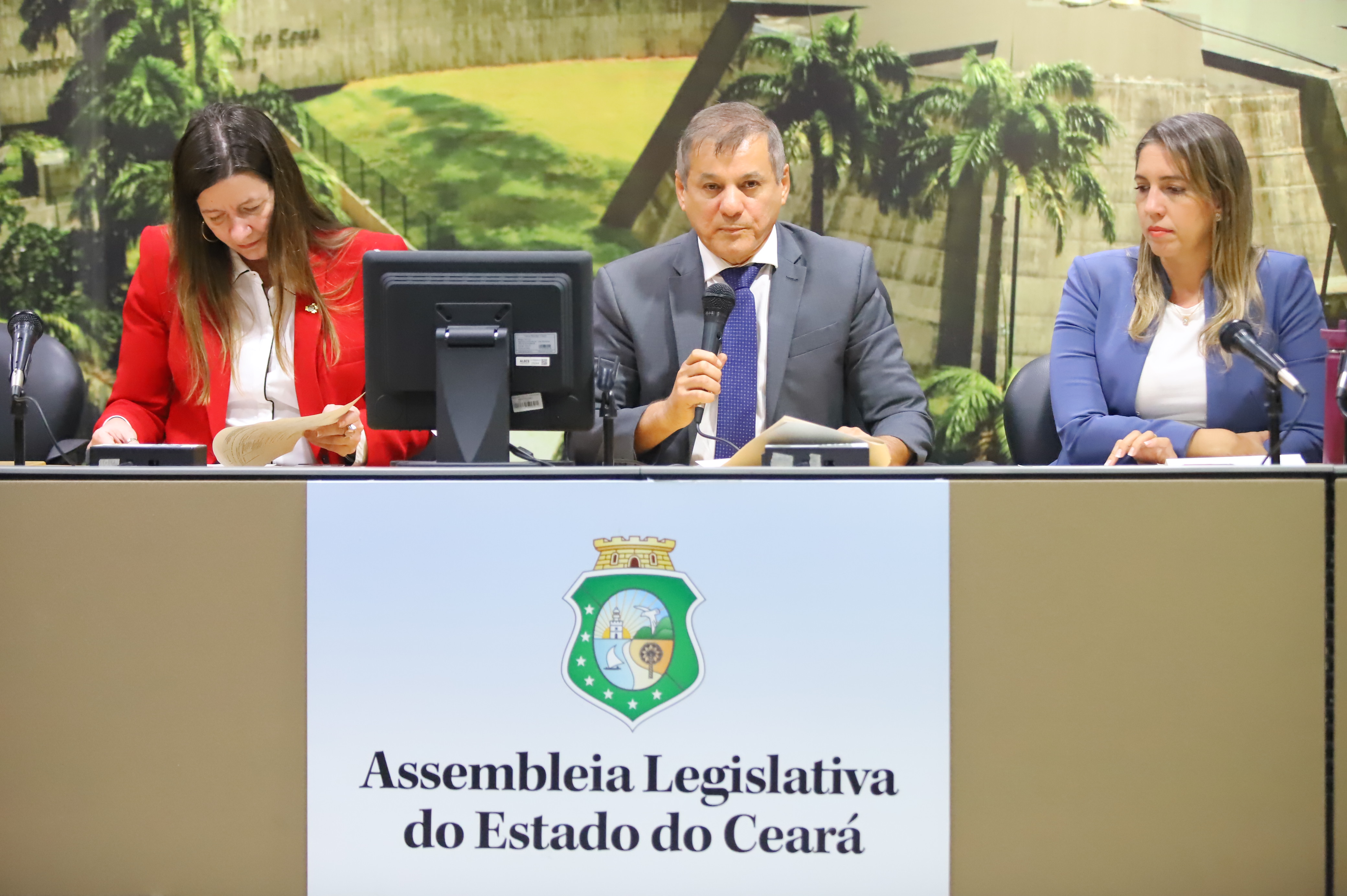 Comissão de Infância e Adolescência