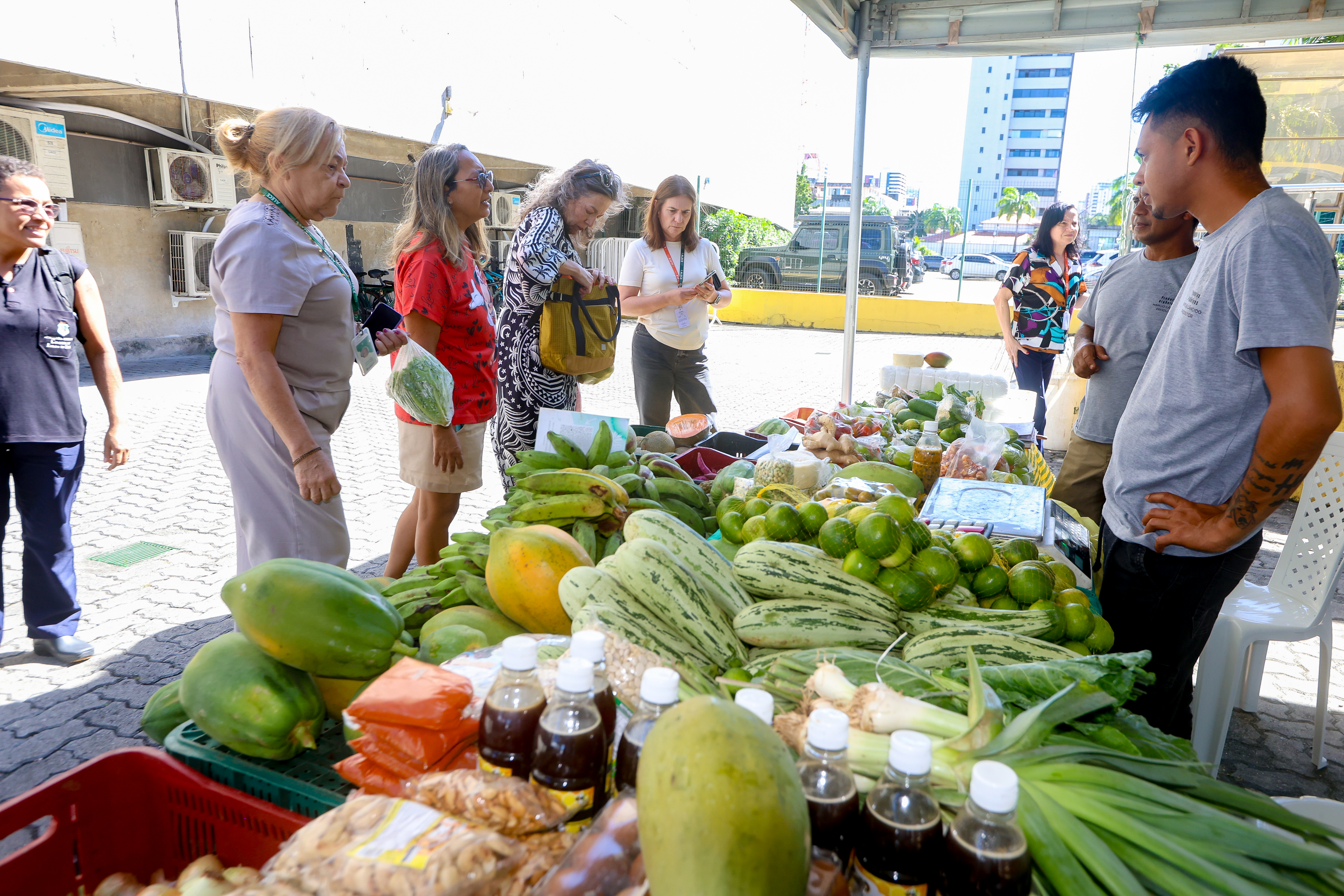 Esta é a 4ª edição da Feira de Orgânicos da Alece.
