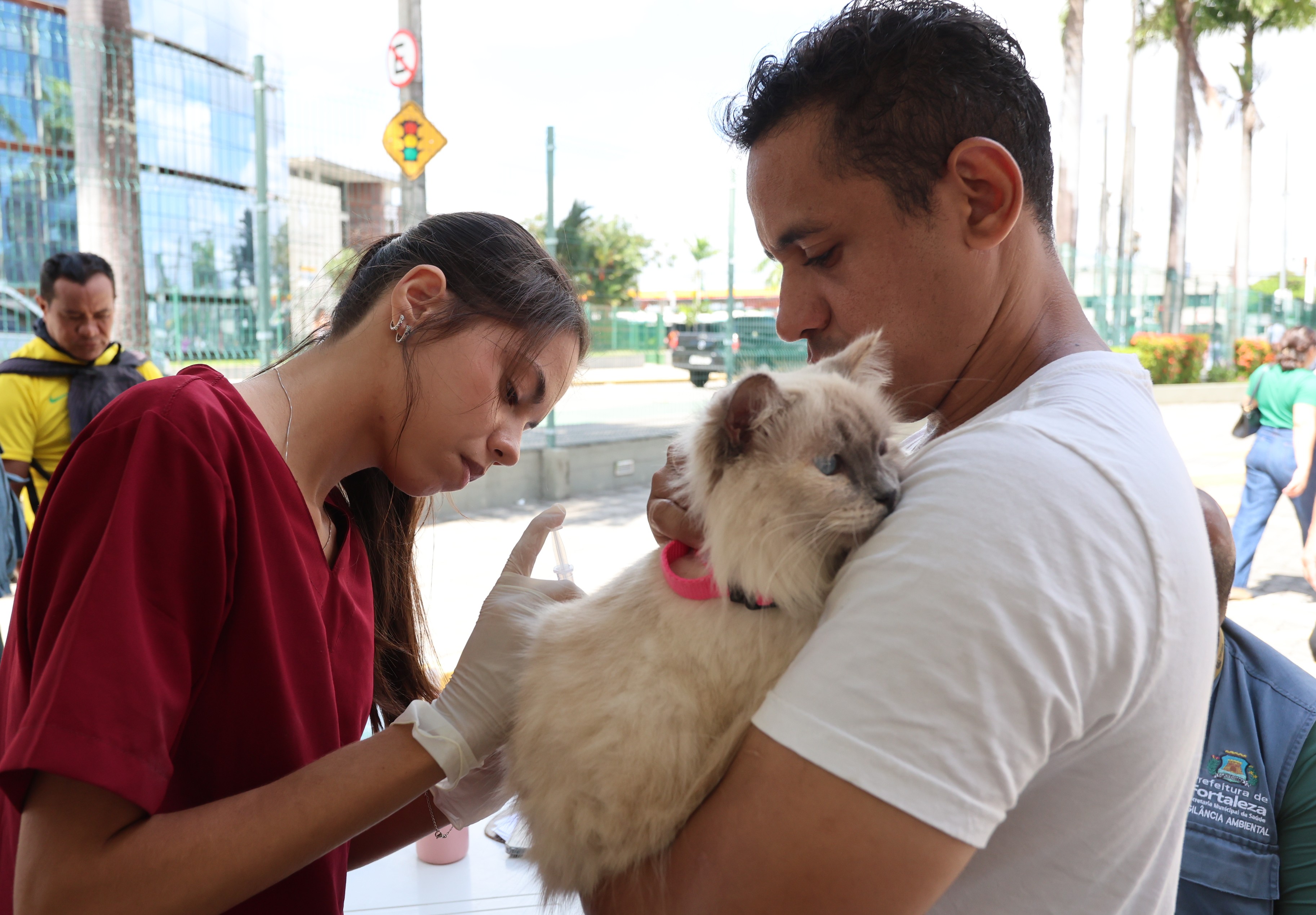 Segunda edição do Alece Pet tem feira de adoção de cães e ações voltadas ao bem-estar animal