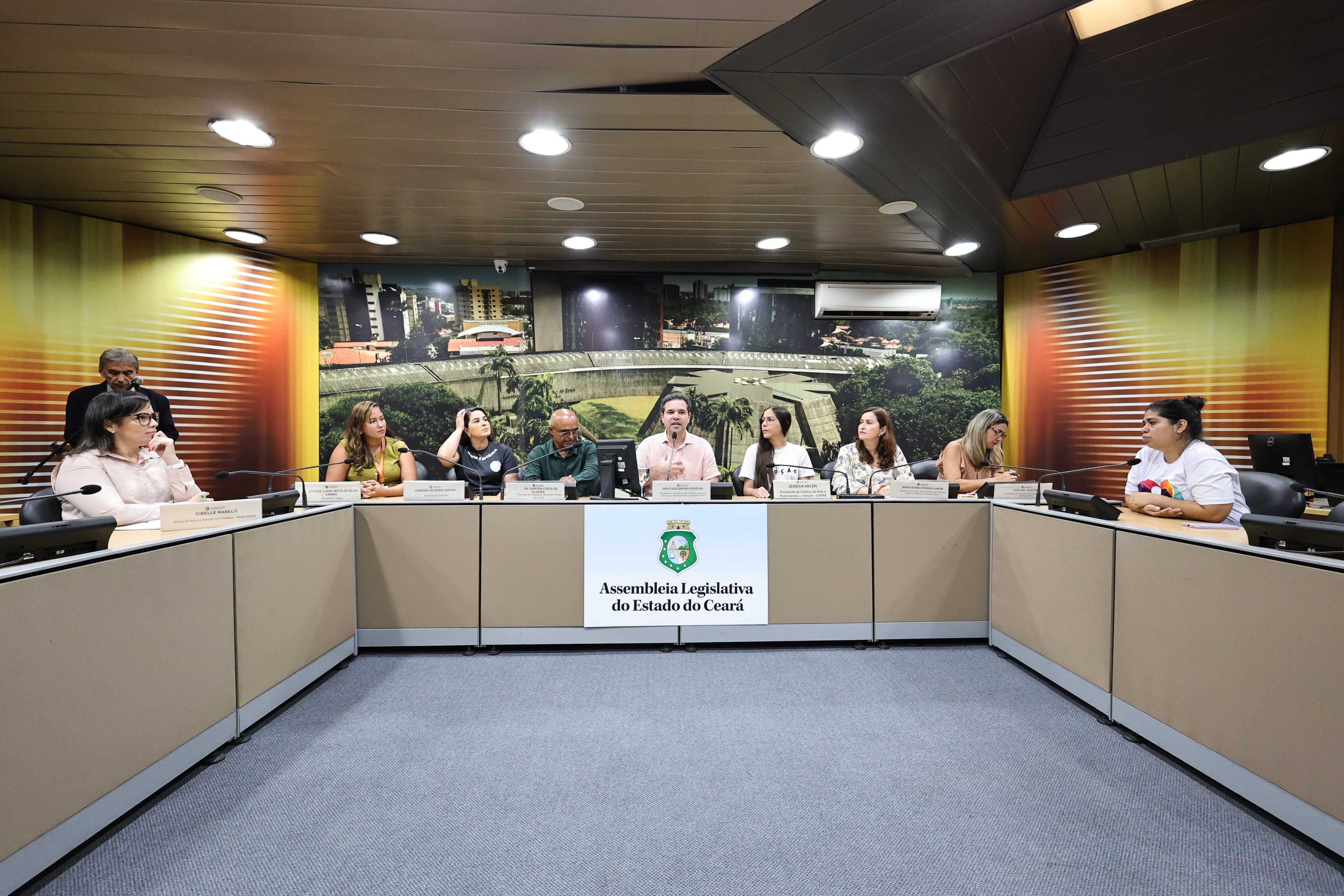 Audiência pública foi realizada no Complexo de Comissões Técnicas