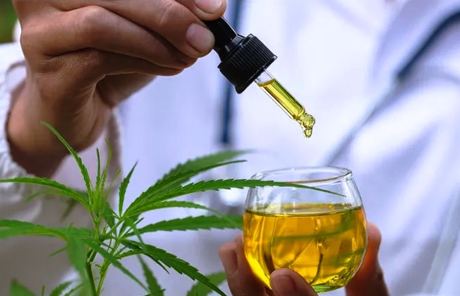 Comissões debatem regulamentação do uso e pesquisa sobre cannabis nesta segunda-feira