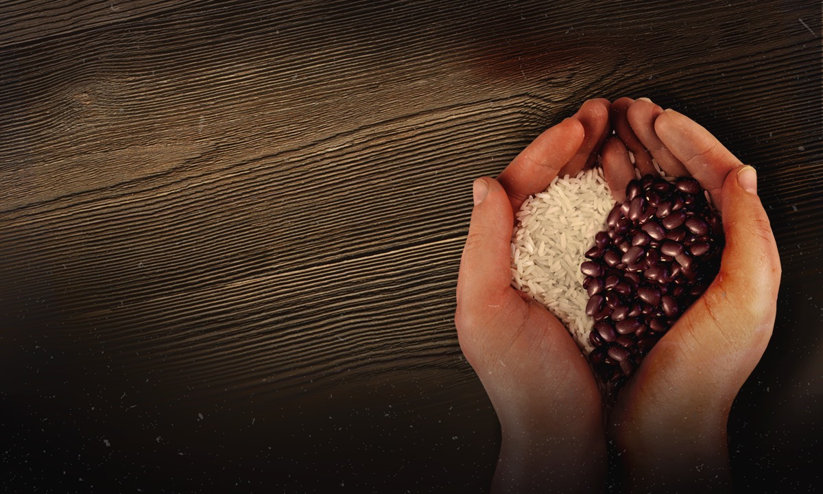 Campanha "Repartir a partir de agora" arrecada alimentos na Alece