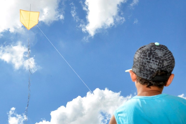 Audiência pública na Alece debate lei que proíbe uso de cerol em pipas no Ceará