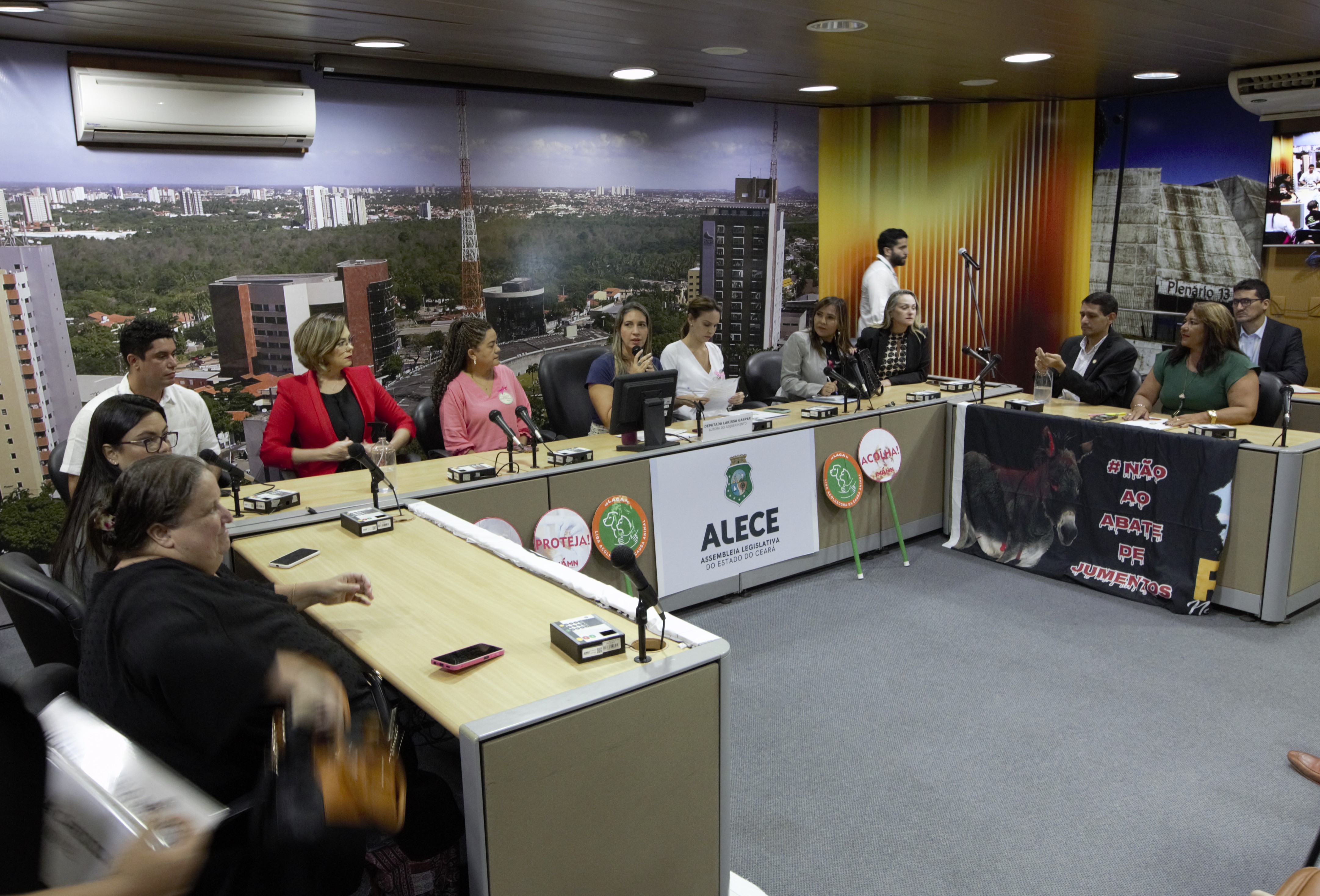 Entidades e protetores cobram mais apoio à causa animal