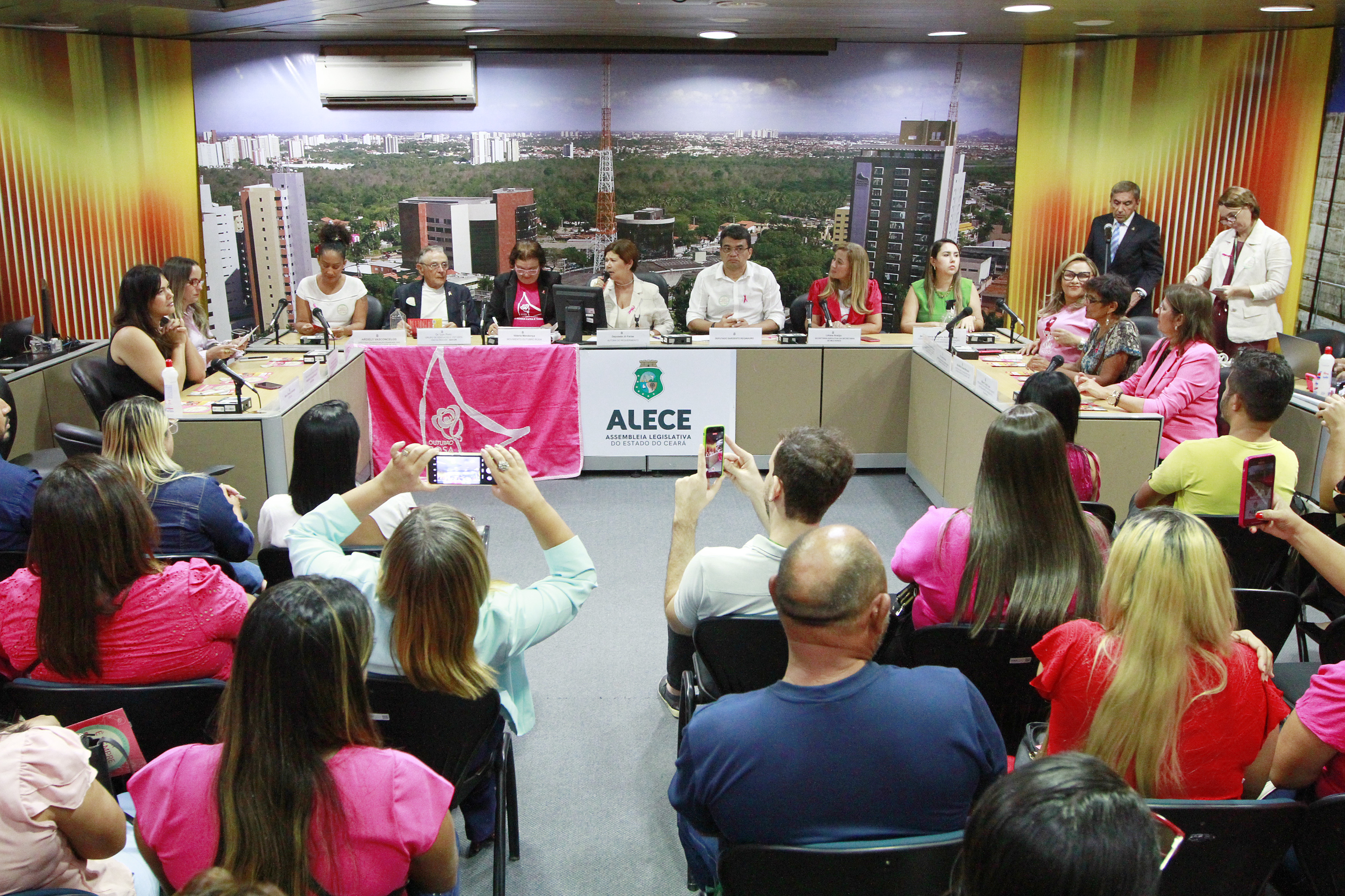 Desafios do enfrentamento ao câncer de mama no Ceará são debatidos na Alece