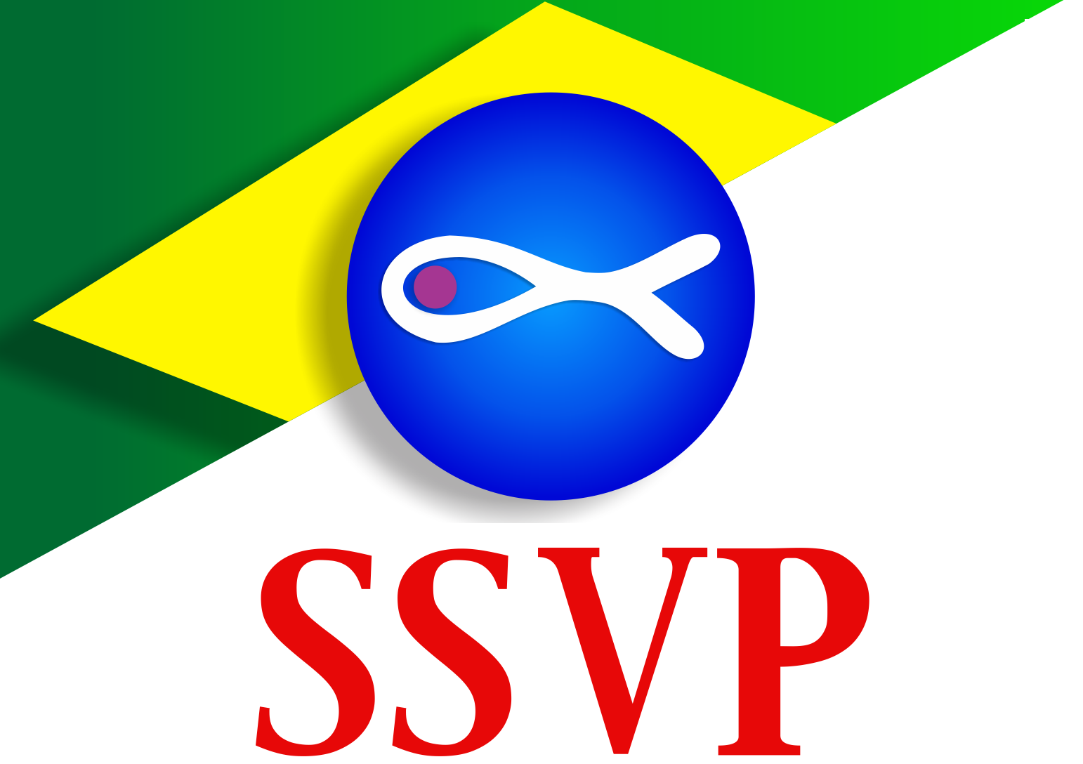 Assembleia Legislativa homenageia a Sociedade de São Vicente de Paulo