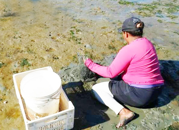 Comissão de Direitos Humanos debate execução do plano de apoio a pescadoras