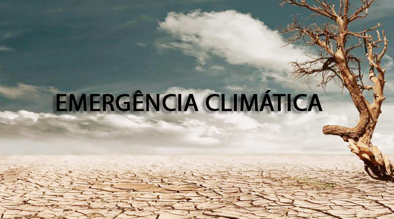 Comissão de Meio Ambiente debate emergência climática em audiência pública nesta sexta-feira