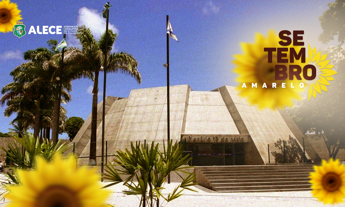 Parlamento tem papel fundamental na elaboração de políticas voltadas à saúde mental