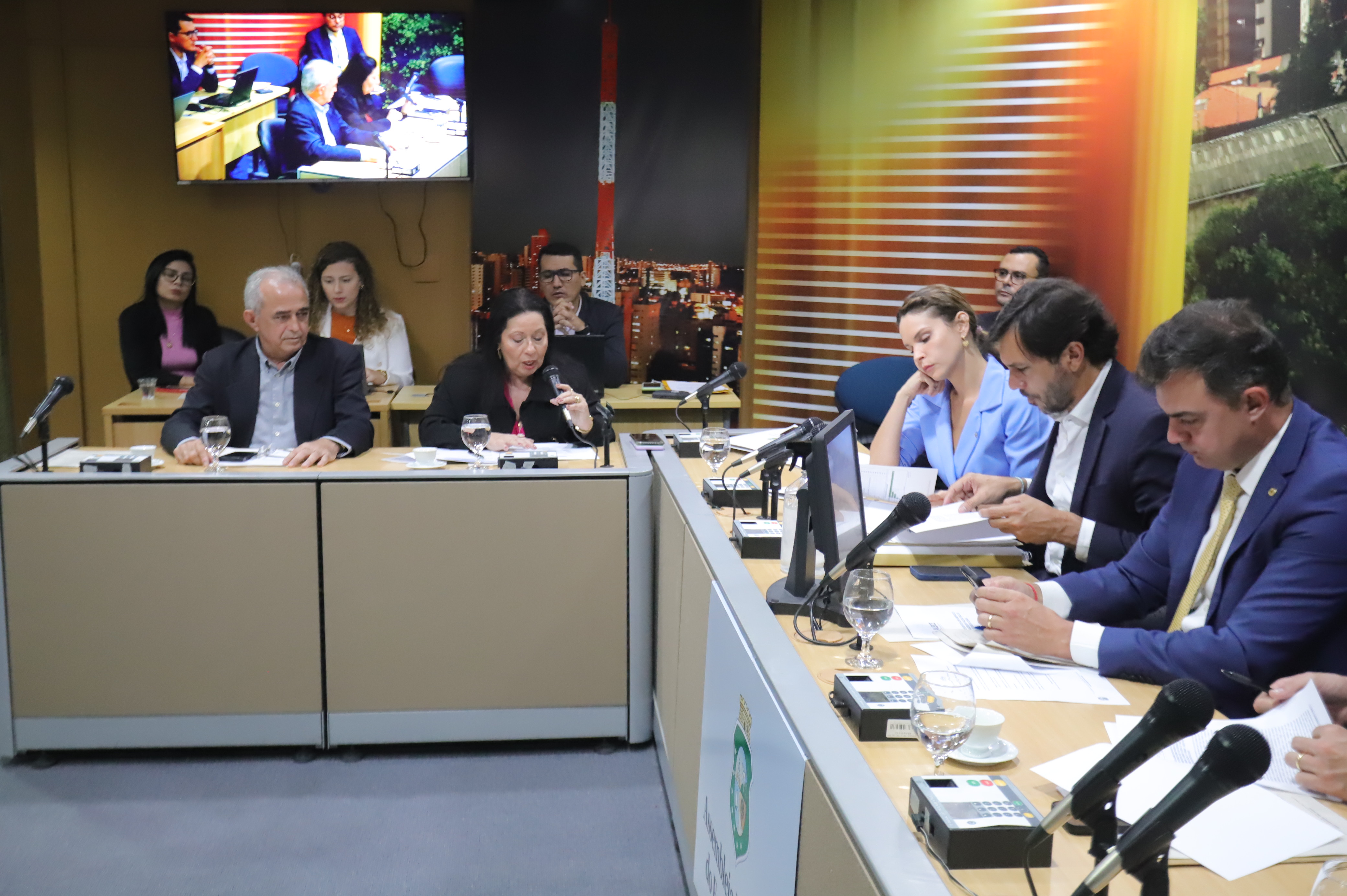 Diretora do Procon diz na CPI que já recebeu mais de 10 mil reclamações contra Enel