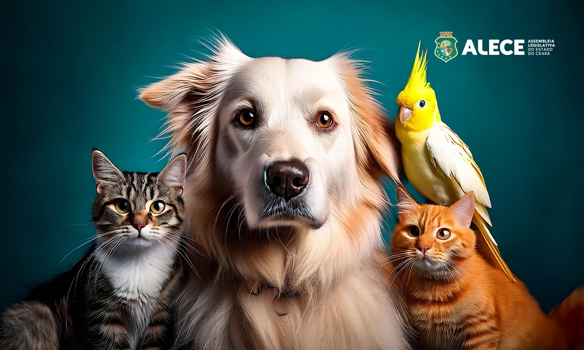 Projetos que tratam sobre direitos de animais e de tutores tramitam na Alece