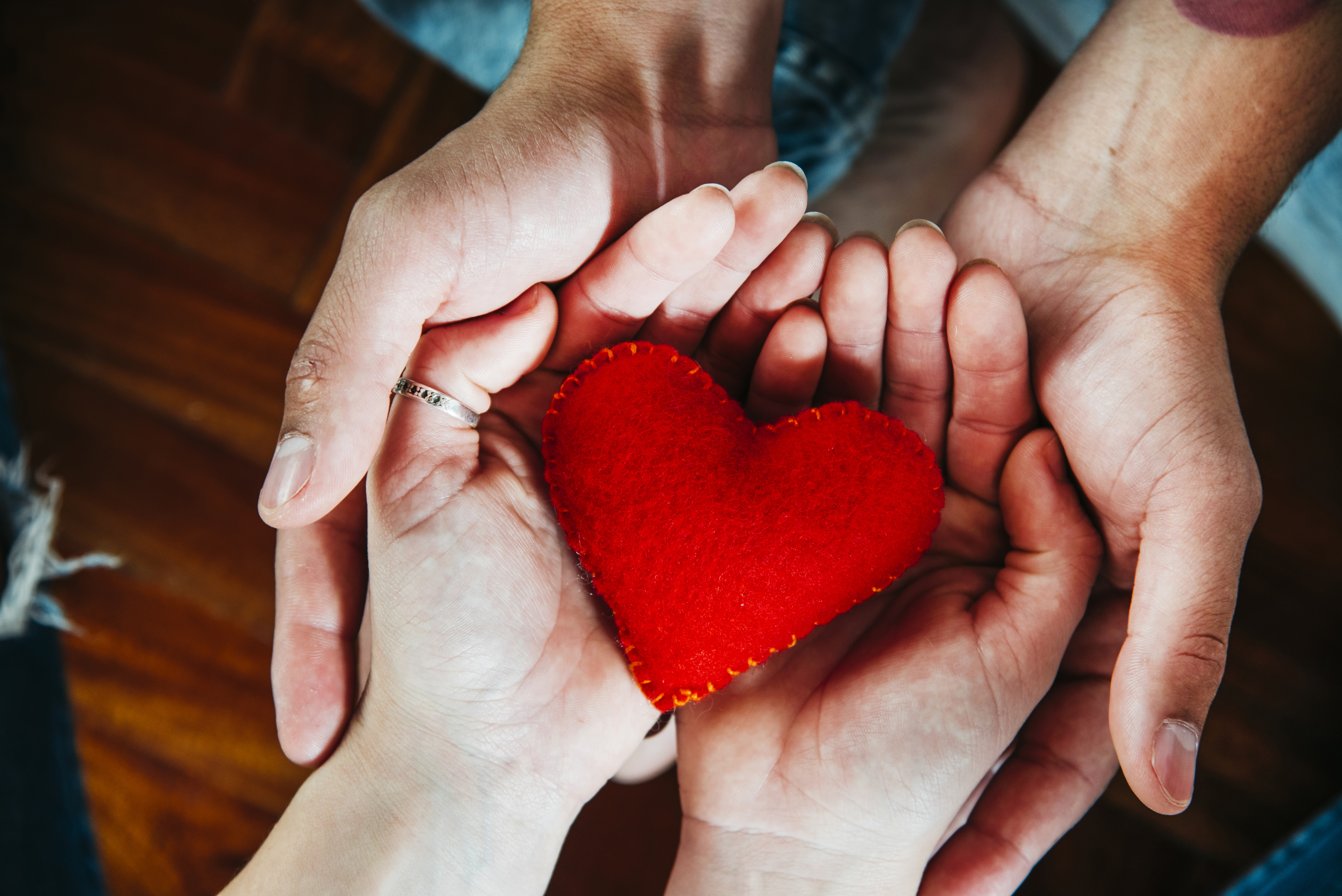 Alece analisa PL que inclui conteúdo sobre doação de órgãos em materiais didáticos