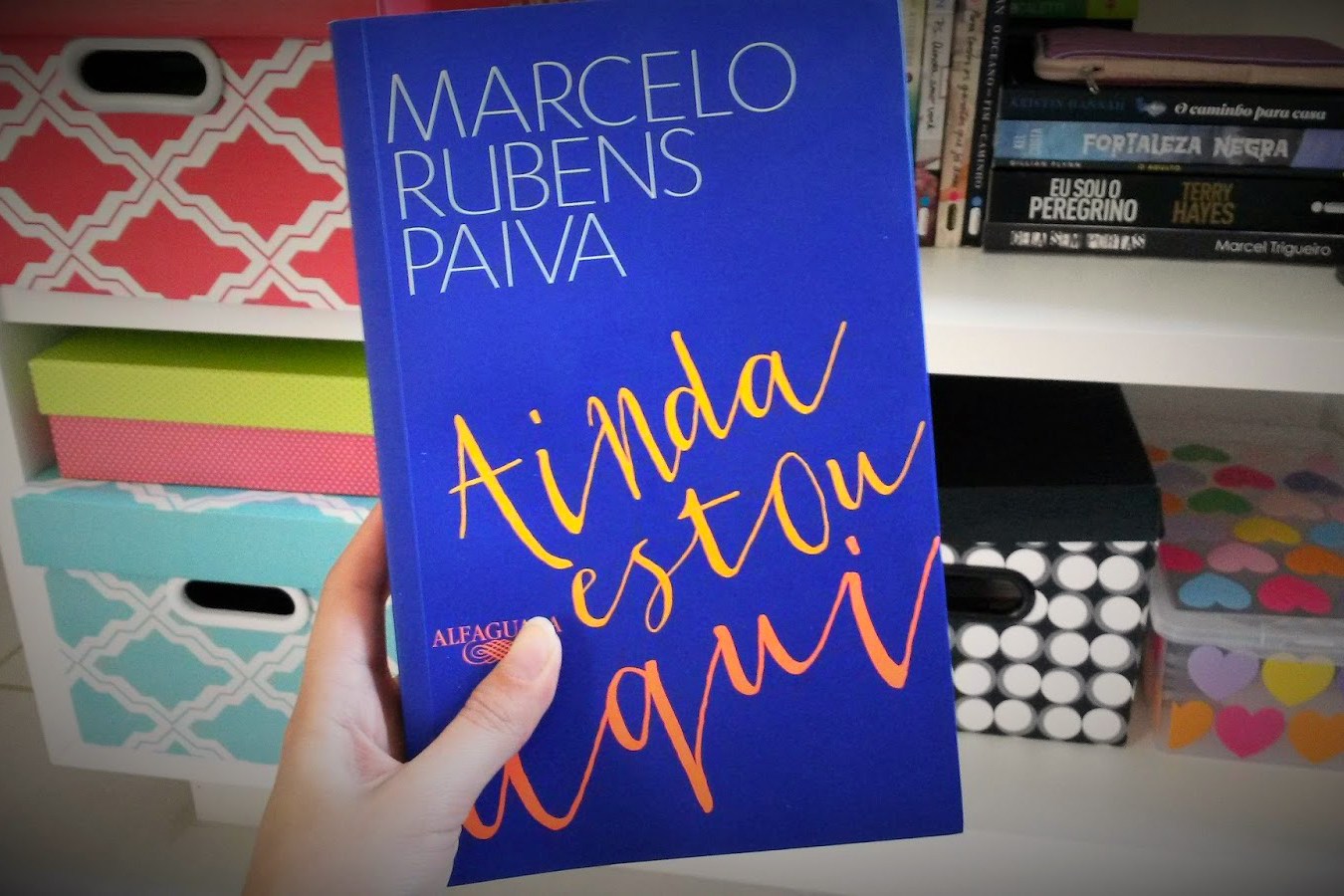 Projeto na Alece prevê inclusão do livro Ainda Estou Aqui nas bibliotecas das escolas estaduais