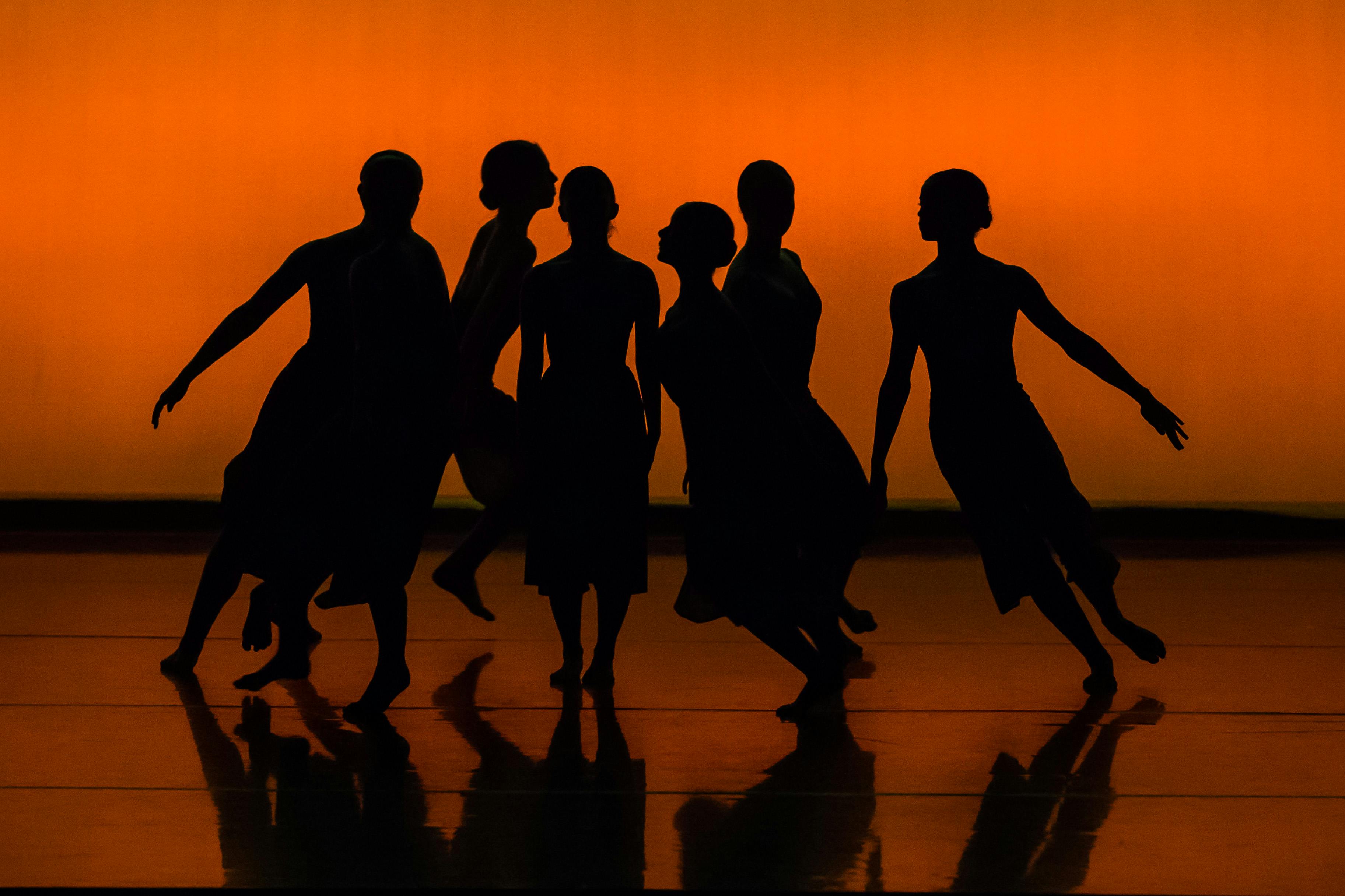 Dia Internacional da Dança é celebrado em sessão solene na Alece